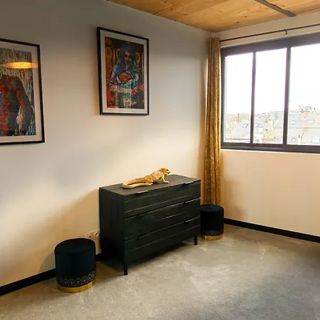 Apartment Magnifique Loft Urbain Centre, Gare Et Parking Prive Le Mans